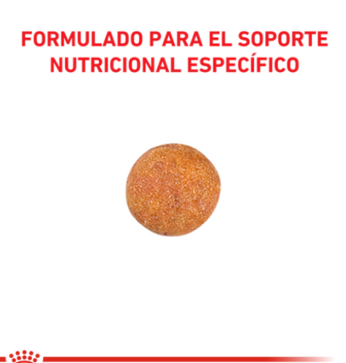 Royal Cat Urinary HD 1.5kg - Imagen 2