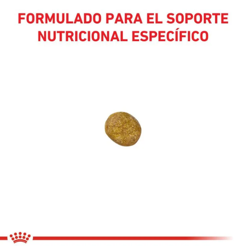Alternative view of Royal Canin Renal Feline 2kg