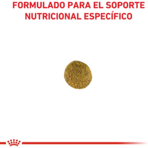 Alternative view of Royal Canin Alimento Seco para Gato Satiety Support Weight Management Feline 1,5kg