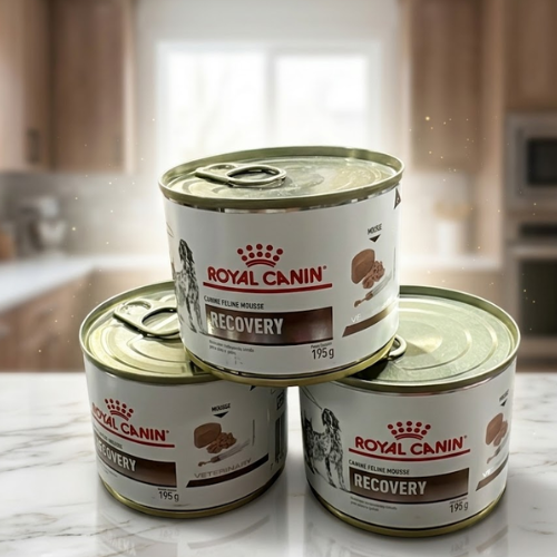 Lata Royal Canin Recovery Perro y Gato - Royal Canin195 Gr
