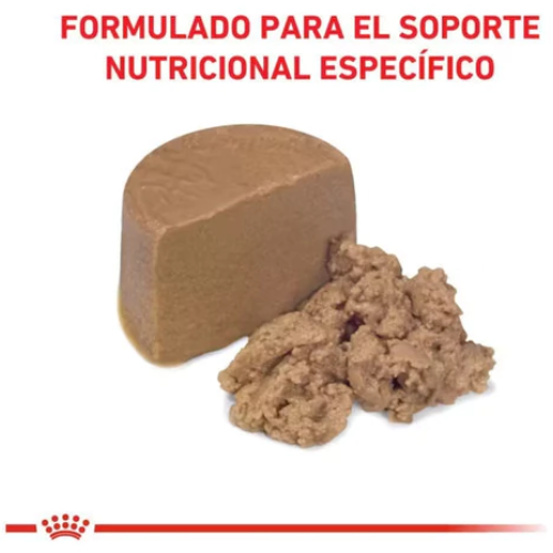 Alternative view of Lata Royal Canin Recovery Perro y Gato - Royal Canin195 Gr