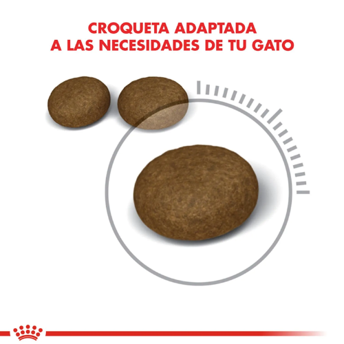 Alternative view of Royal Canin Hair & Skin Care 2kg
