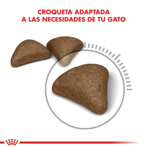 Alternative view of Alimento Royal Canin Gato Adulto Hairball Care - 1,5 Kg
