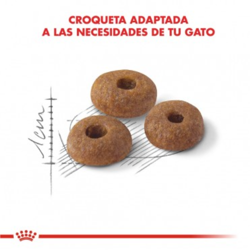 Alternative view of Royal Canin Regular Fit Feline 1.5kg